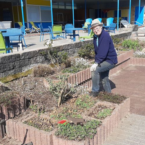 kaum zu glauben, das hier im Sommer die Blumenpracht erblüht